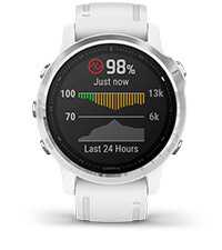 fēnix 6S with pulse ox sensor screen