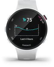 BODY BATTERY™ ENERGY MONITOR