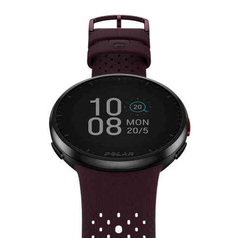 Autumn Maroon Plum