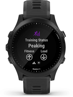 TRAINING STATUS